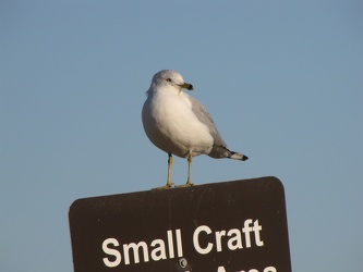 Sandy Point State Park [49]