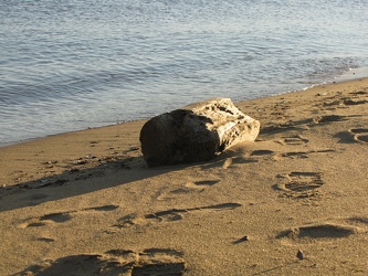 Sandy Point State Park [50]