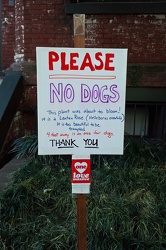 Please, no dogs