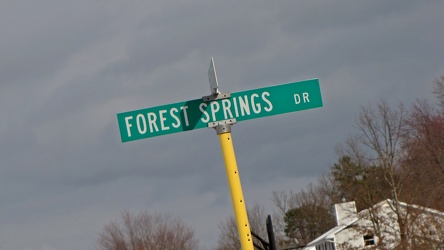 Intersection of Springer Road and Forest Springs Drive