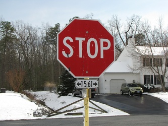 Stop sign at end of Forest Springs Drive