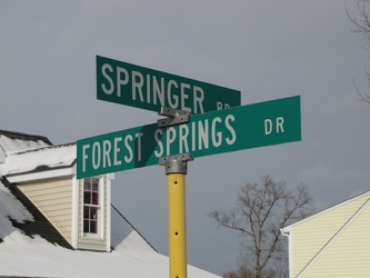 Springer Road and Forest Springs Drive [01]