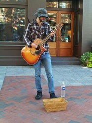 Busker on South Loudoun Street