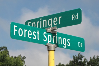 Springer Road and Forest Springs Drive [04]