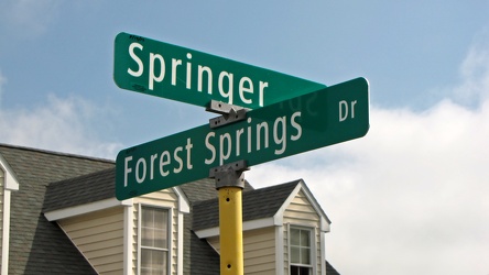 Springer Road and Forest Springs Drive [03]