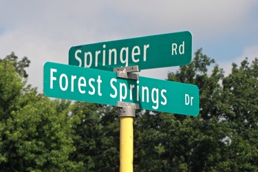 Springer Road and Forest Springs Drive [02]