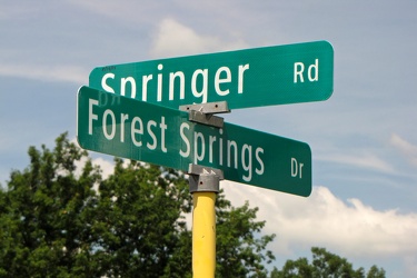 Springer Road and Forest Springs Drive [05]