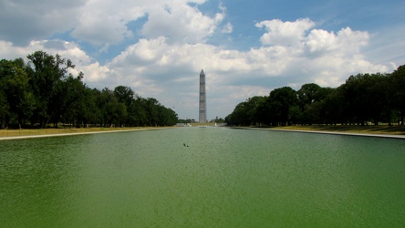 Washington Monument in scaffolding, viewed from the west end of the Lincoln Memorial Reflecting Pool [09]