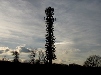 Disguised cell phone tower