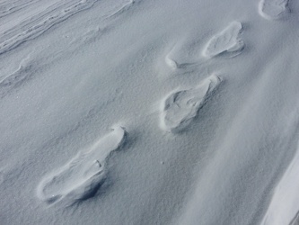 Footprints on Skyline Drive bridge [01]