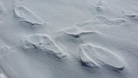 Footprints on Skyline Drive bridge [02]