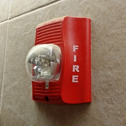 Fire alarm strobe at Martin's in Culpeper, Virginia [01]