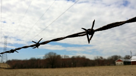 Barbed wire in Laytonsville, Maryland [01]