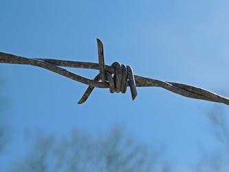 Barbed wire [01]