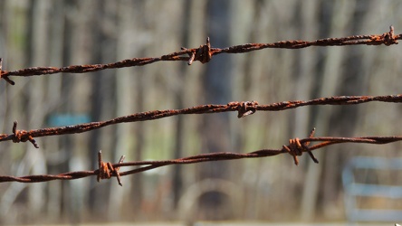 Barbed wire [03]