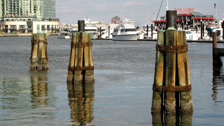 Poles in the Baltimore Inner Harbor