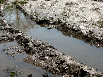 Tire track in the mud [01]