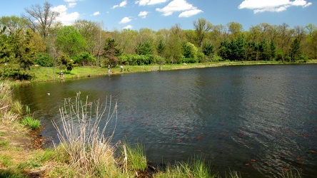 North end of Lake Artemesia [01]