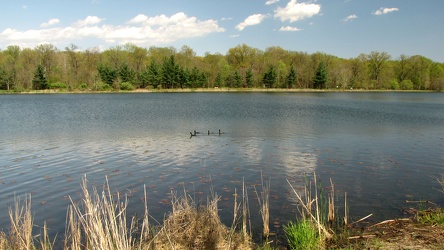 North end of Lake Artemesia [03]