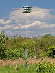 Birdhouse at Lake Artemesia [01]