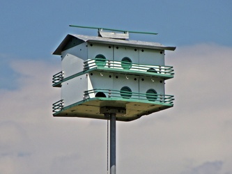 Birdhouse at Lake Artemesia [02]