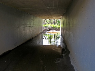 Box culvert under CSX tracks