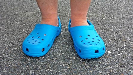 Blue Crocs