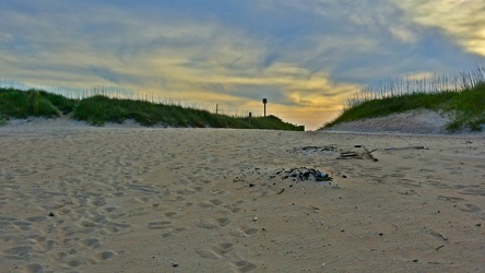 Hatteras Island Beach Access 38 [06]