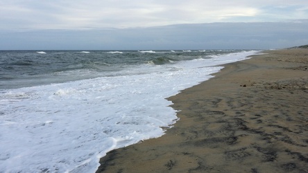 Beach at Avon, North Carolina [06]