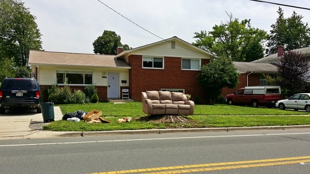 Couch on a tree stump [01]