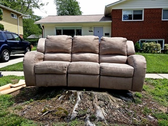 Couch on a tree stump [02]