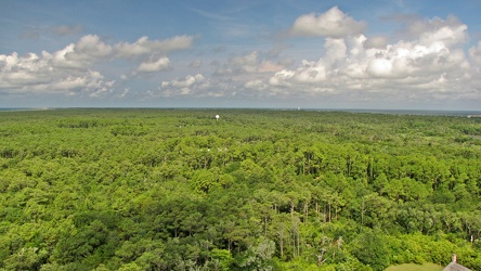 View from the Cape Hatteras Lighthouse [04]