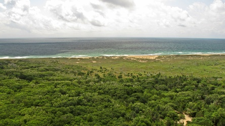 View from the Cape Hatteras Lighthouse [06]