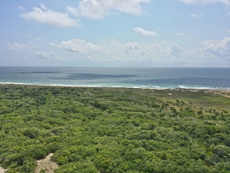 View from the Cape Hatteras Lighthouse [09]