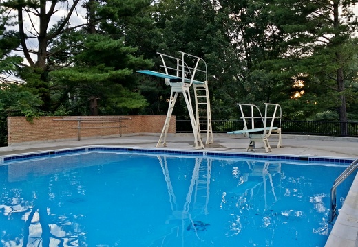 Bretton Woods Pool, August 15, 2014