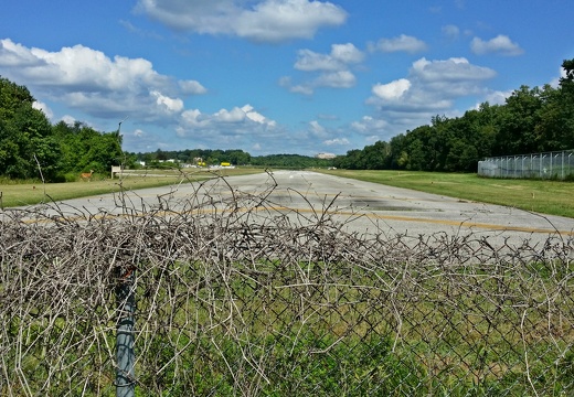 Paint Branch Trail, August 13, 2014