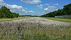 Paint Branch Trail, August 13, 2014