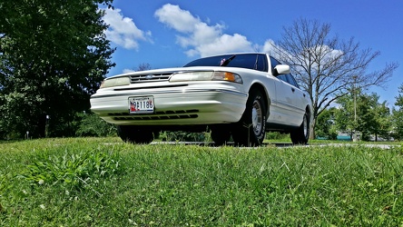 White Crown Victoria