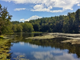 Otter Lake [02]