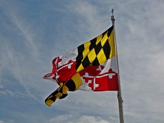 Maryland flag