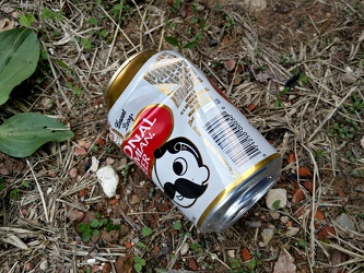 Discarded can of National Bohemian