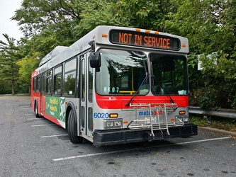 Metrobus 6020 at White Oak Shopping Center [02]