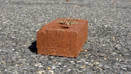 Brick in the parking lot [01]