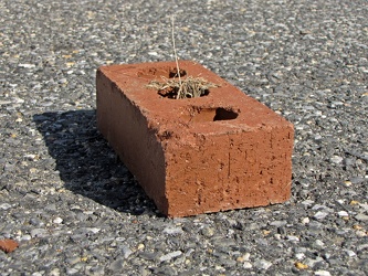 Brick in the parking lot [02]