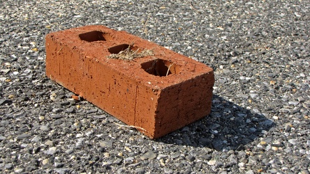 Brick in the parking lot [03]