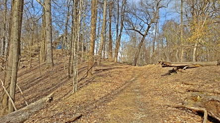 Trail at Patapsco Valley State Park [01]