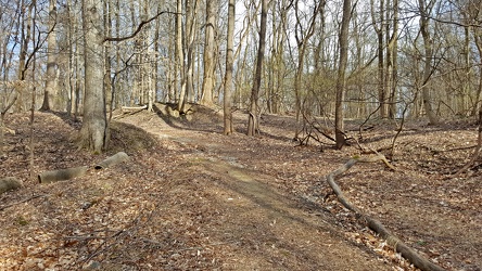 Trail at Patapsco Valley State Park [02]