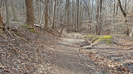 Trail at Patapsco Valley State Park [03]