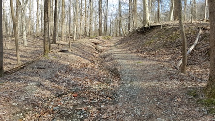 Trail at Patapsco Valley State Park [04]