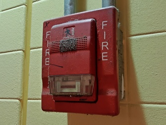 Dusty Edwards Genesis fire alarm horn/strobe